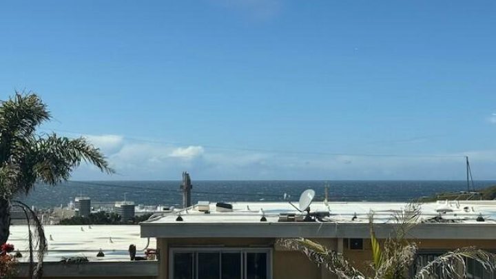 Clear sky and ocean view over rooftops with palm trees.